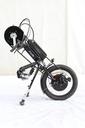 Smart Wild 10 Gang 56 X 48-11